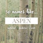 Names Like Aspen (Natural, Modern & Fresh)