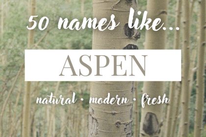Names Like Aspen (Natural, Modern & Fresh)
