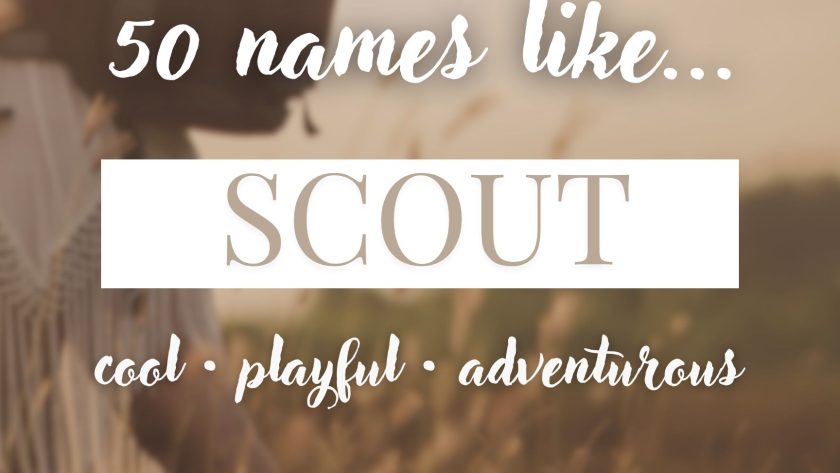 Names Like Scout (Cool, Playful & Adventurous)