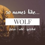 Names Like Wolf (Fierce, Wild & Spirited)