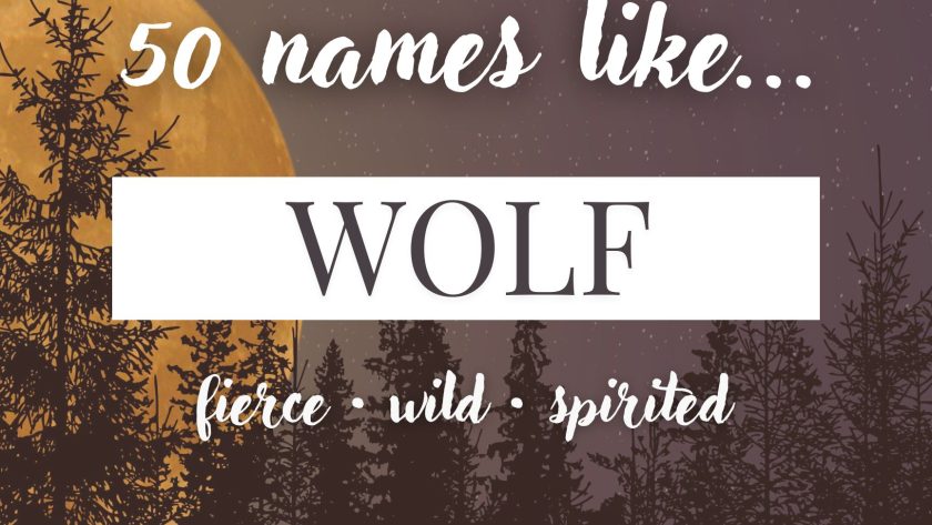 Names Like Wolf (Fierce, Wild & Spirited)