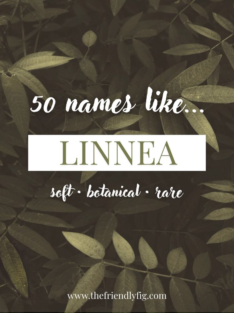 Names Like Linnea (Soft, Botanical & Rare)