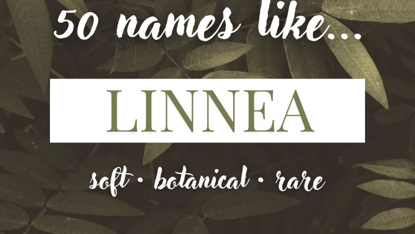 Names Like Linnea (Soft, Botanical & Rare)