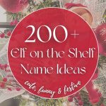 200+ Elf on the Shelf Names (Cute & Funny)