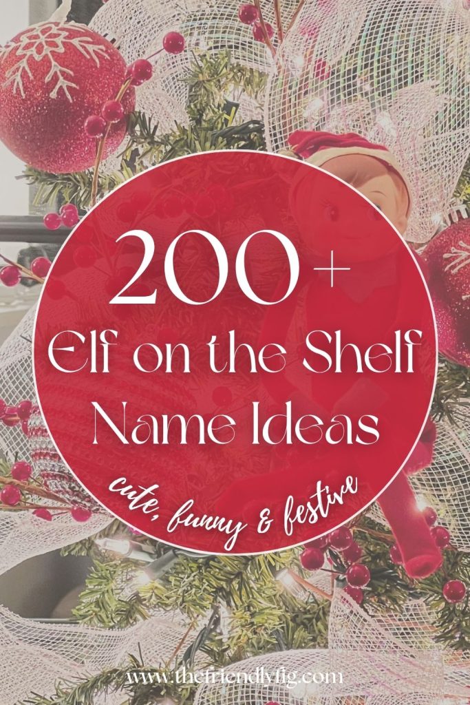 200+ Elf on the Shelf Names (Cute & Funny)