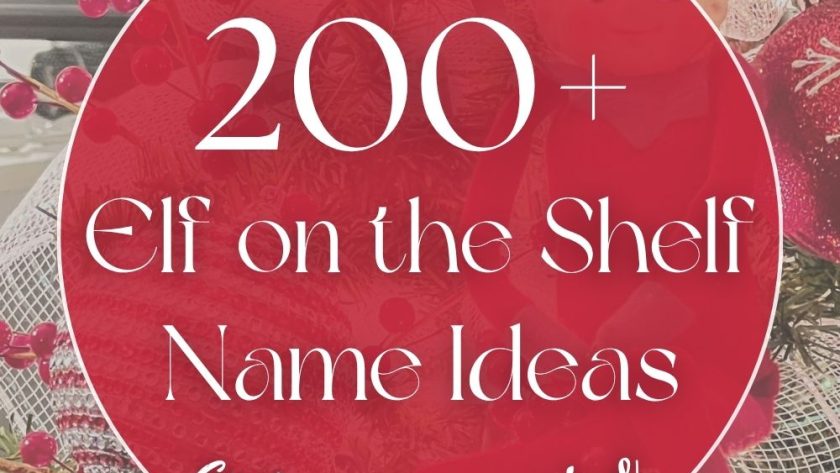 200+ Elf on the Shelf Names (Cute & Funny)